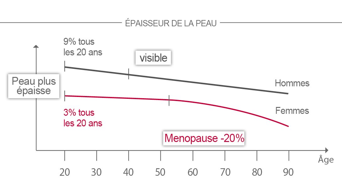 Diagramme d'épaisseur de la peau